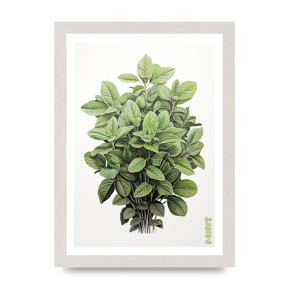 Mint Leaves Black and White Refreshment