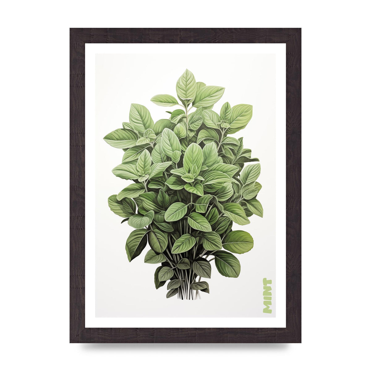 Mint Leaves Black and White Refreshment