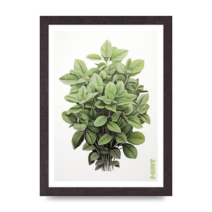 Mint Leaves Black and White Refreshment