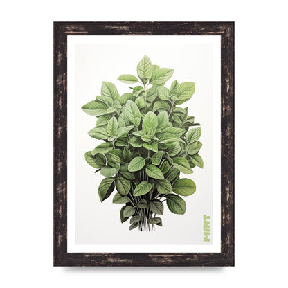 Mint Leaves Black and White Refreshment