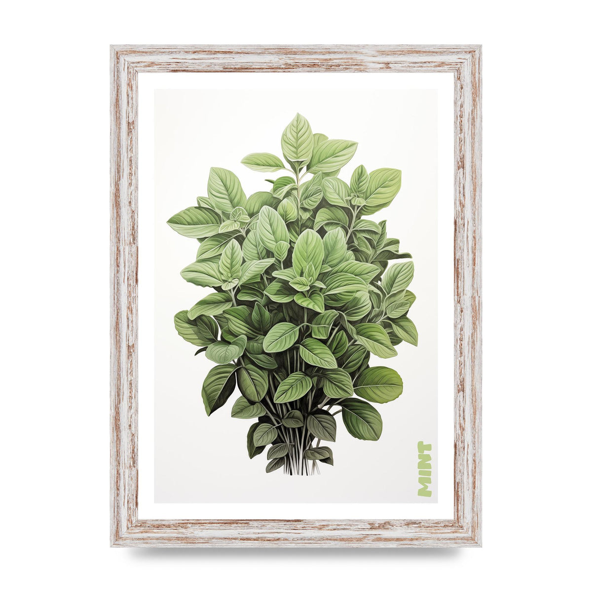 Mint Leaves Black and White Refreshment