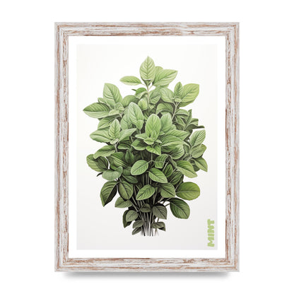 Mint Leaves Black and White Refreshment