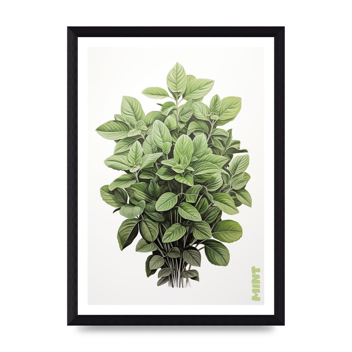 Mint Leaves Black and White Refreshment
