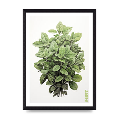 Mint Leaves Black and White Refreshment