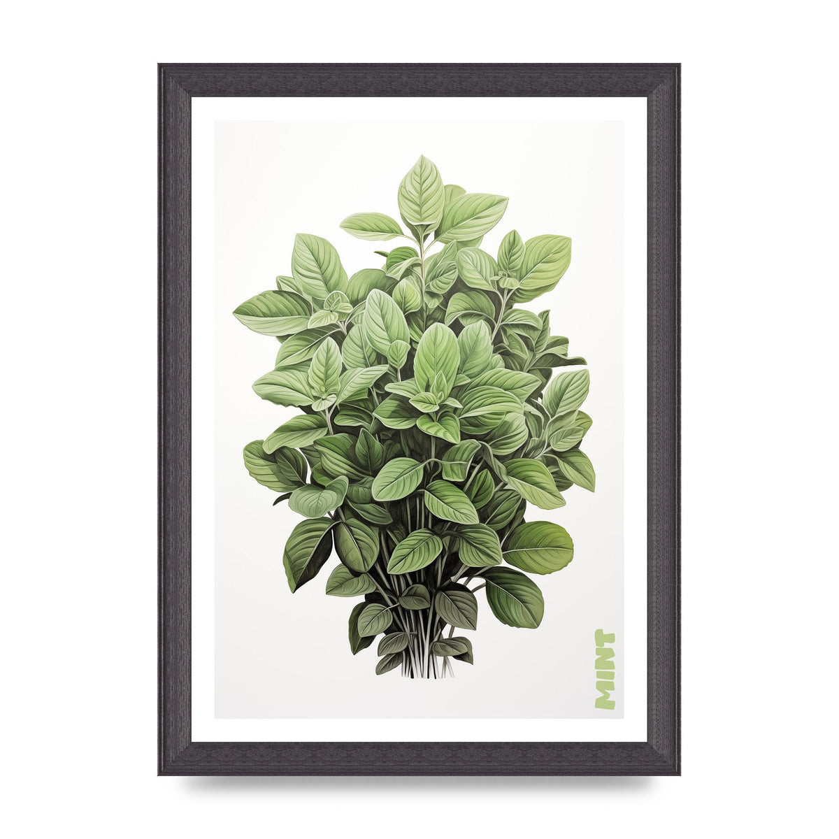 Mint Leaves Black and White Refreshment