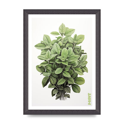 Mint Leaves Black and White Refreshment