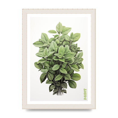 Mint Leaves Black and White Refreshment