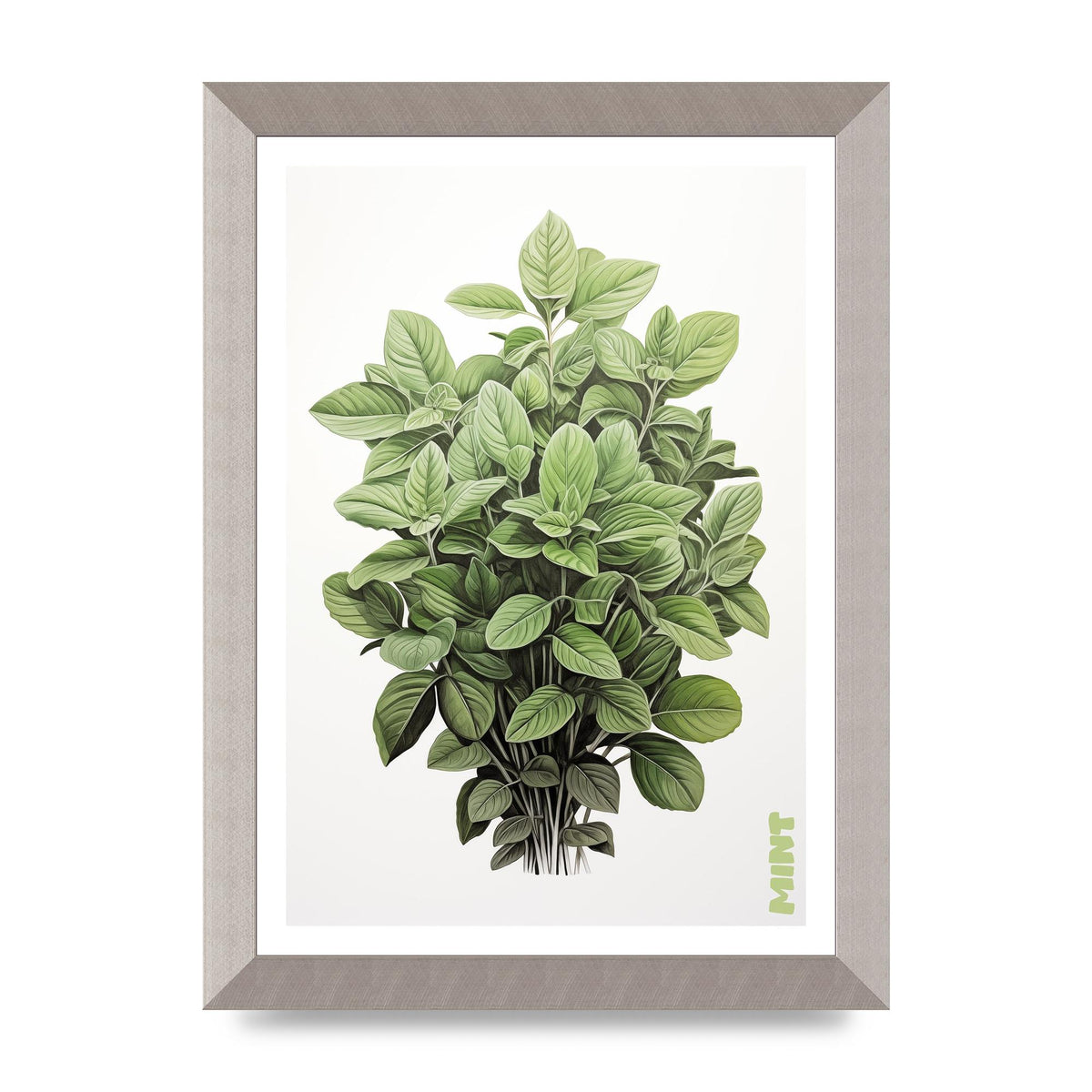 Mint Leaves Black and White Refreshment