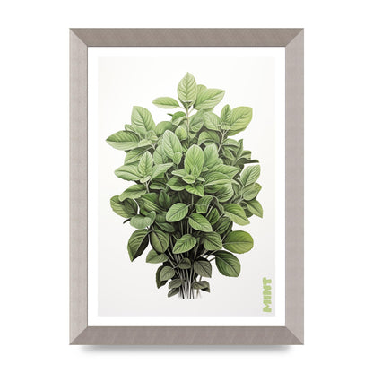 Mint Leaves Black and White Refreshment