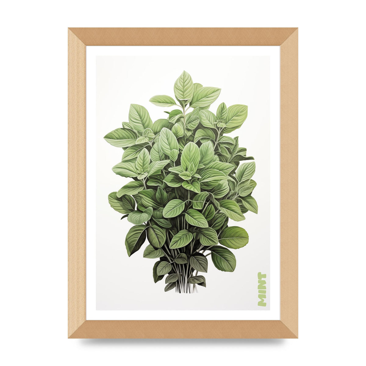 Mint Leaves Black and White Refreshment