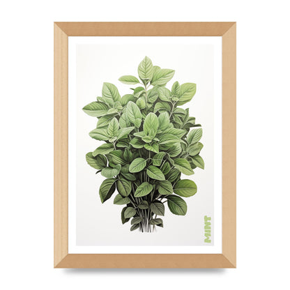 Mint Leaves Black and White Refreshment