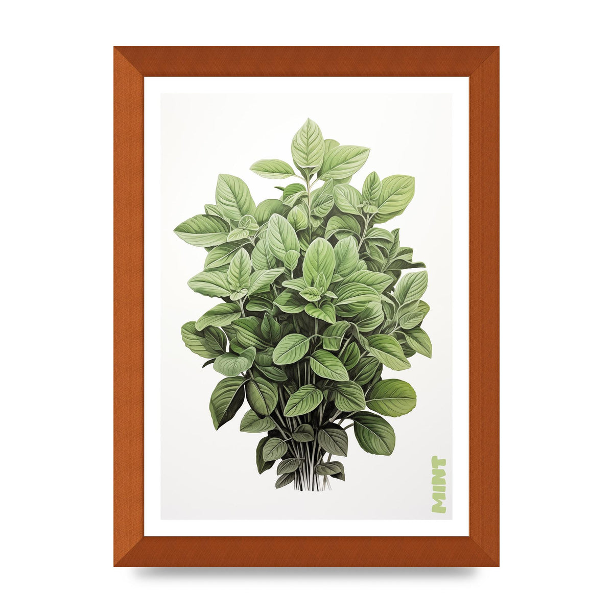 Mint Leaves Black and White Refreshment