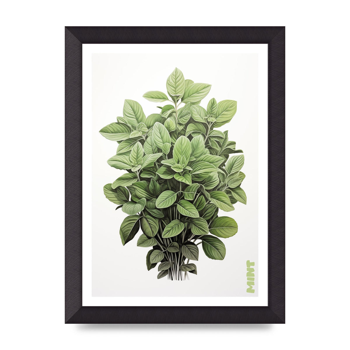 Mint Leaves Black and White Refreshment