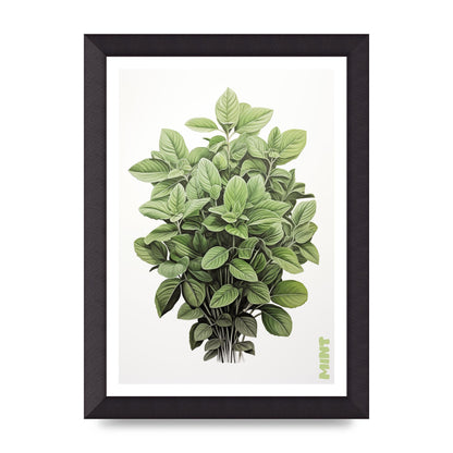 Mint Leaves Black and White Refreshment