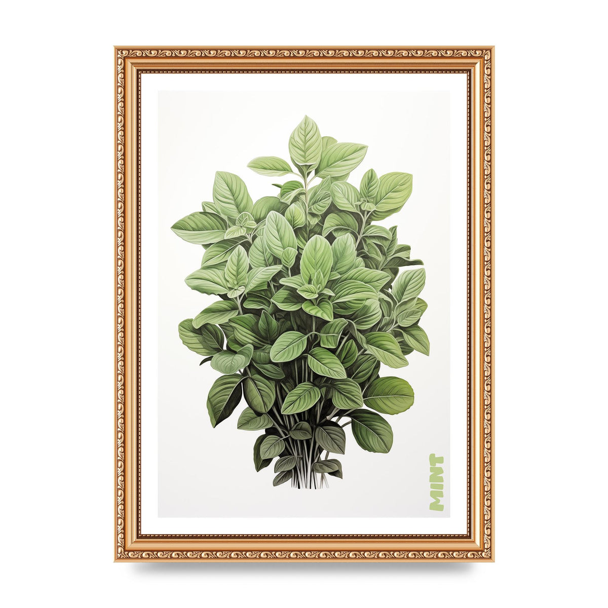 Mint Leaves Black and White Refreshment