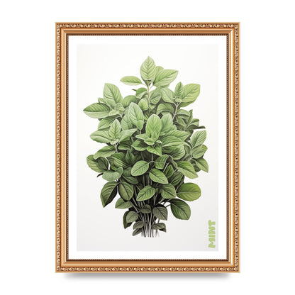 Mint Leaves Black and White Refreshment