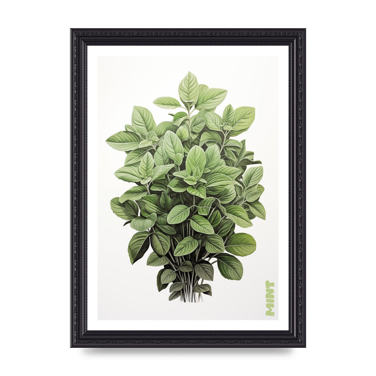 Mint Leaves Black and White Refreshment