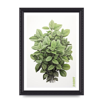 Mint Leaves Black and White Refreshment