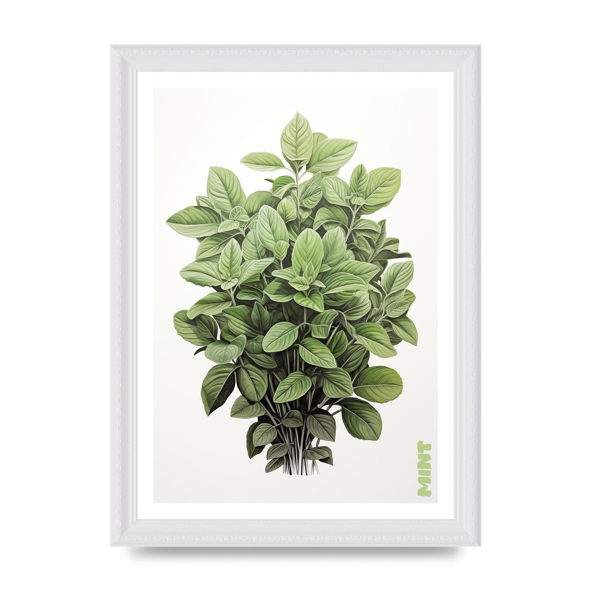 Mint Leaves Black and White Refreshment