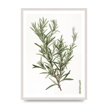 Rosemary Whispers in Minimalist Art