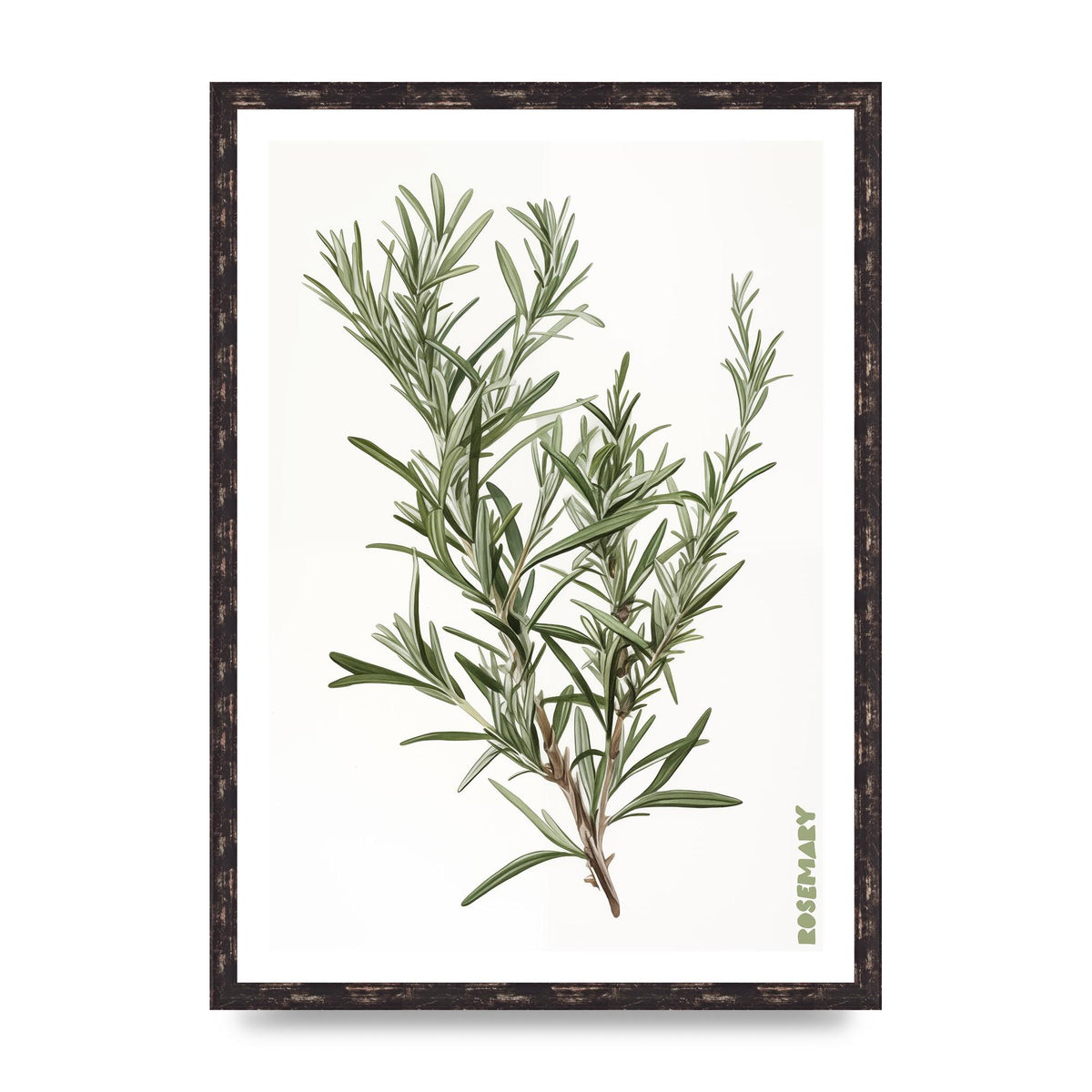 Rosemary Whispers in Minimalist Art