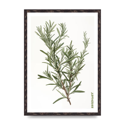 Rosemary Whispers in Minimalist Art