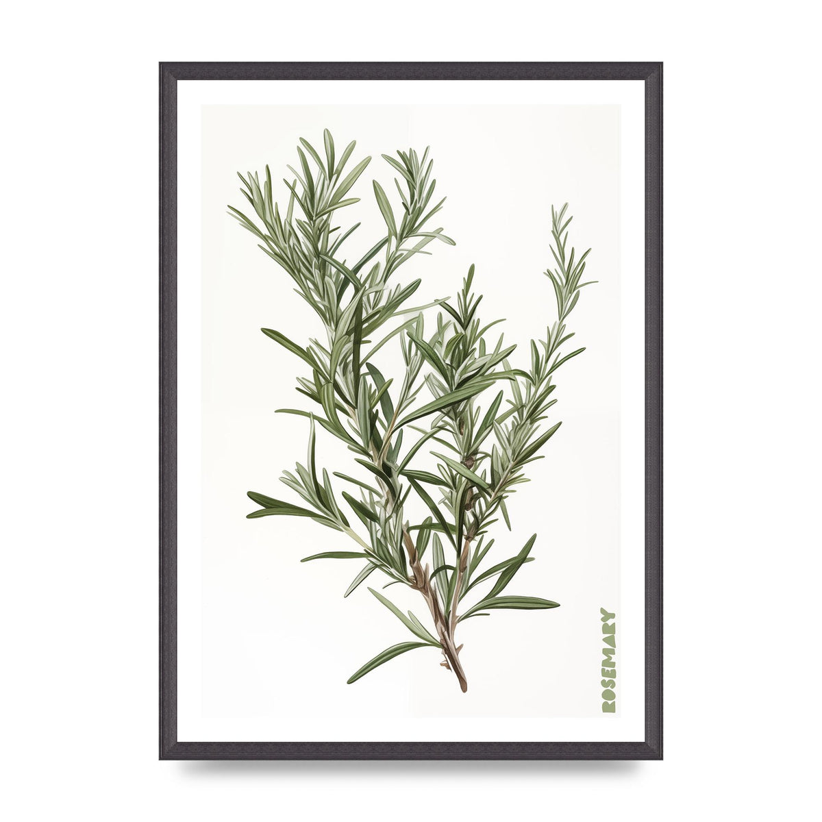 Rosemary Whispers in Minimalist Art