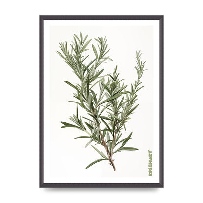 Rosemary Whispers in Minimalist Art