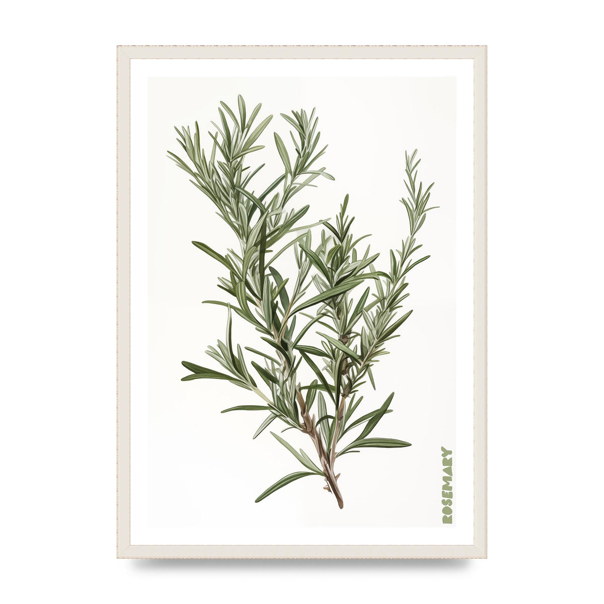 Rosemary Whispers in Minimalist Art