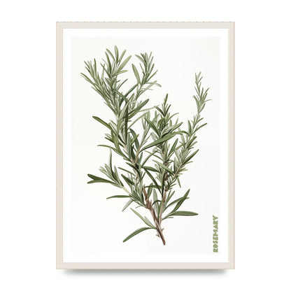 Rosemary Whispers in Minimalist Art