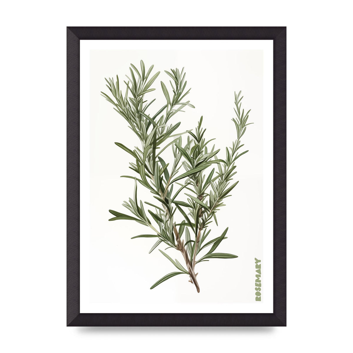 Rosemary Whispers in Minimalist Art
