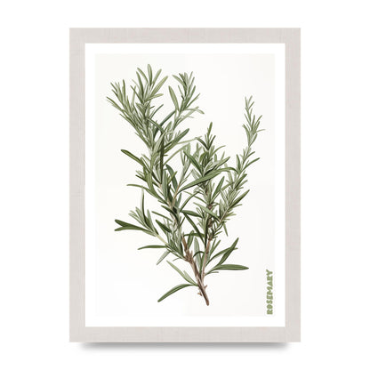 Rosemary Whispers in Minimalist Art