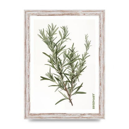 Rosemary Whispers in Minimalist Art