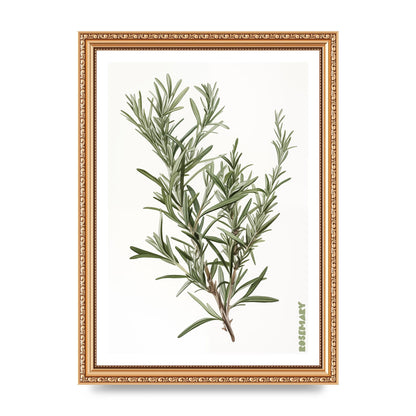 Rosemary Whispers in Minimalist Art