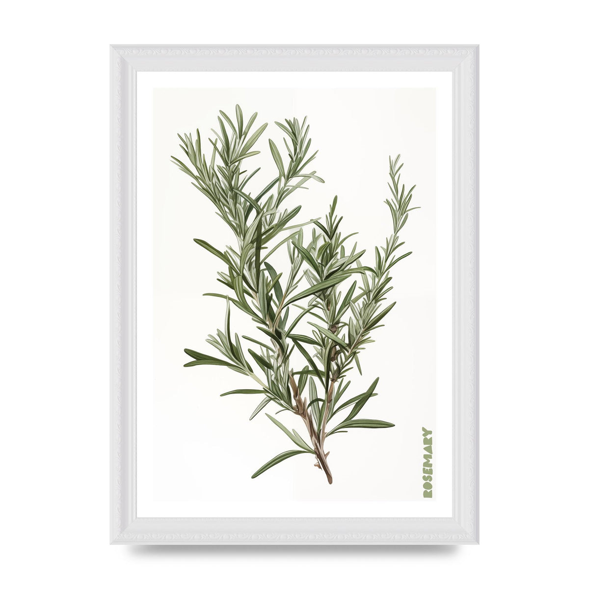Rosemary Whispers in Minimalist Art