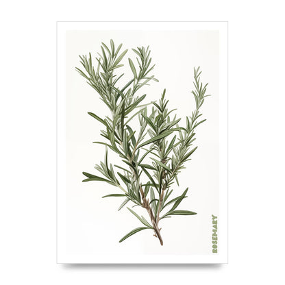 Rosemary Whispers in Minimalist Art