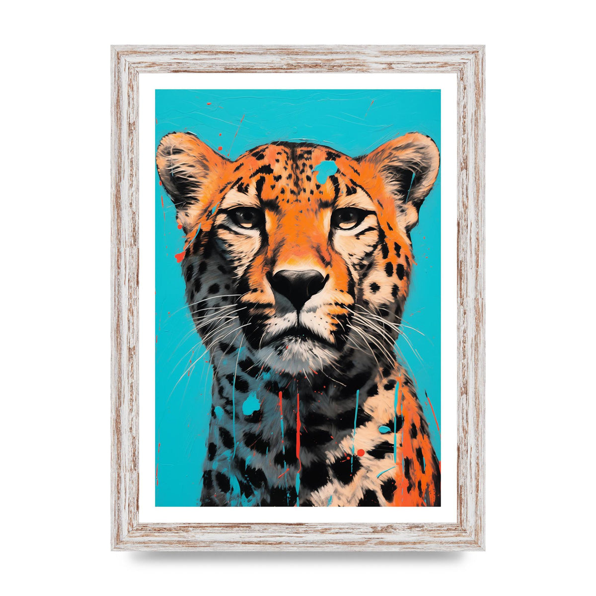 Contrasting Cheetah Face on Turquoise