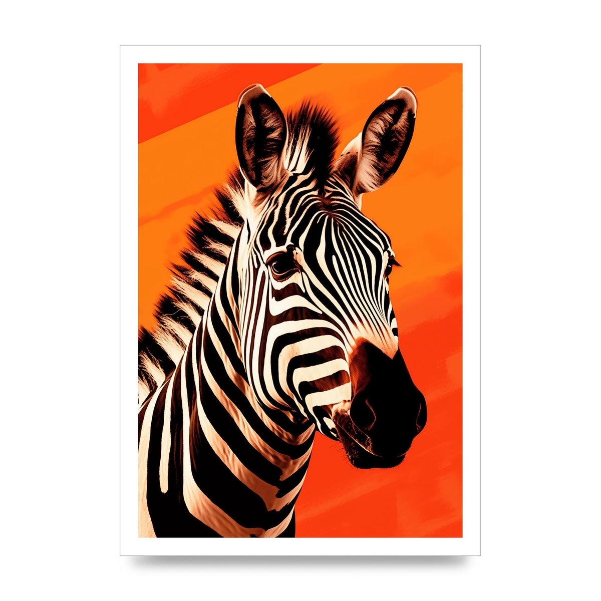 Zebra Portrait Intensified on Orange