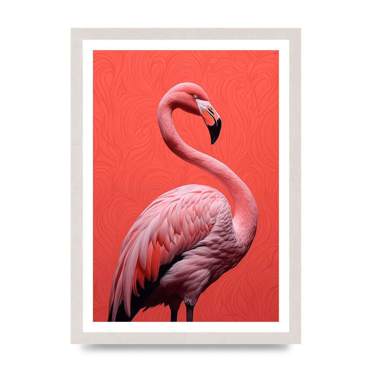 Flamingo in Black and White on Coral