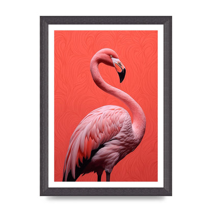 Flamingo in Black and White on Coral