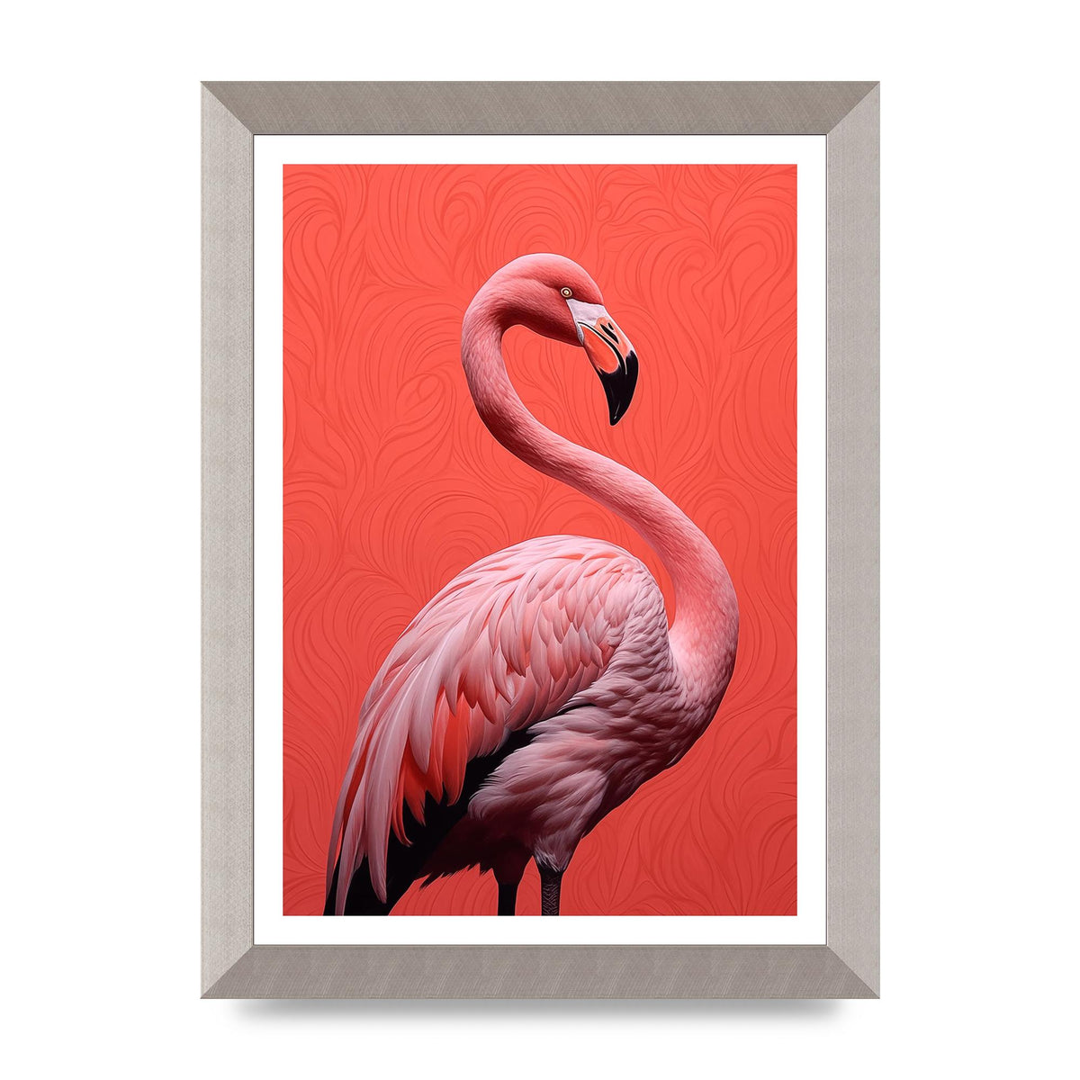 Flamingo in Black and White on Coral