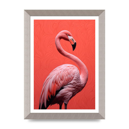 Flamingo in Black and White on Coral