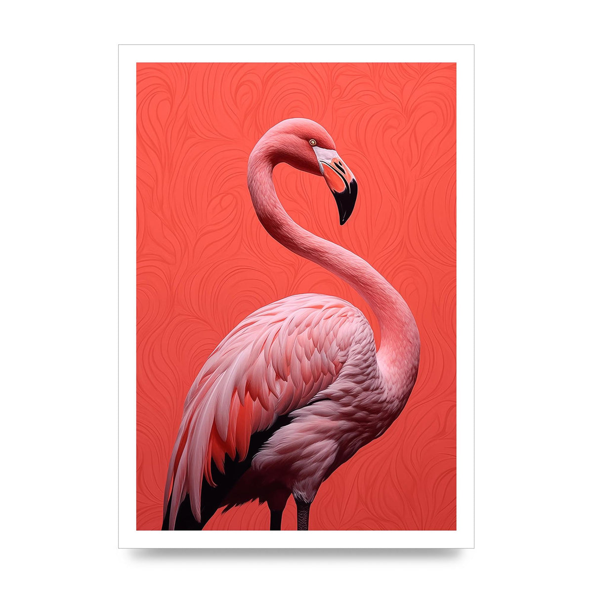 Flamingo in Black and White on Coral
