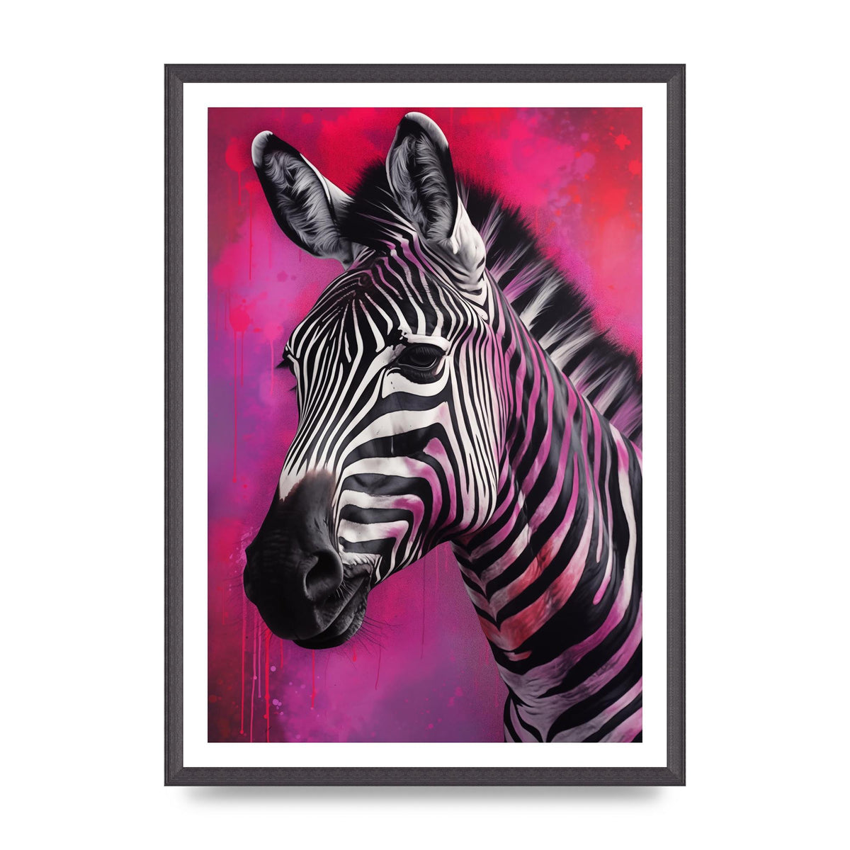 Zebras with Bold Pinks and Purples Contrast