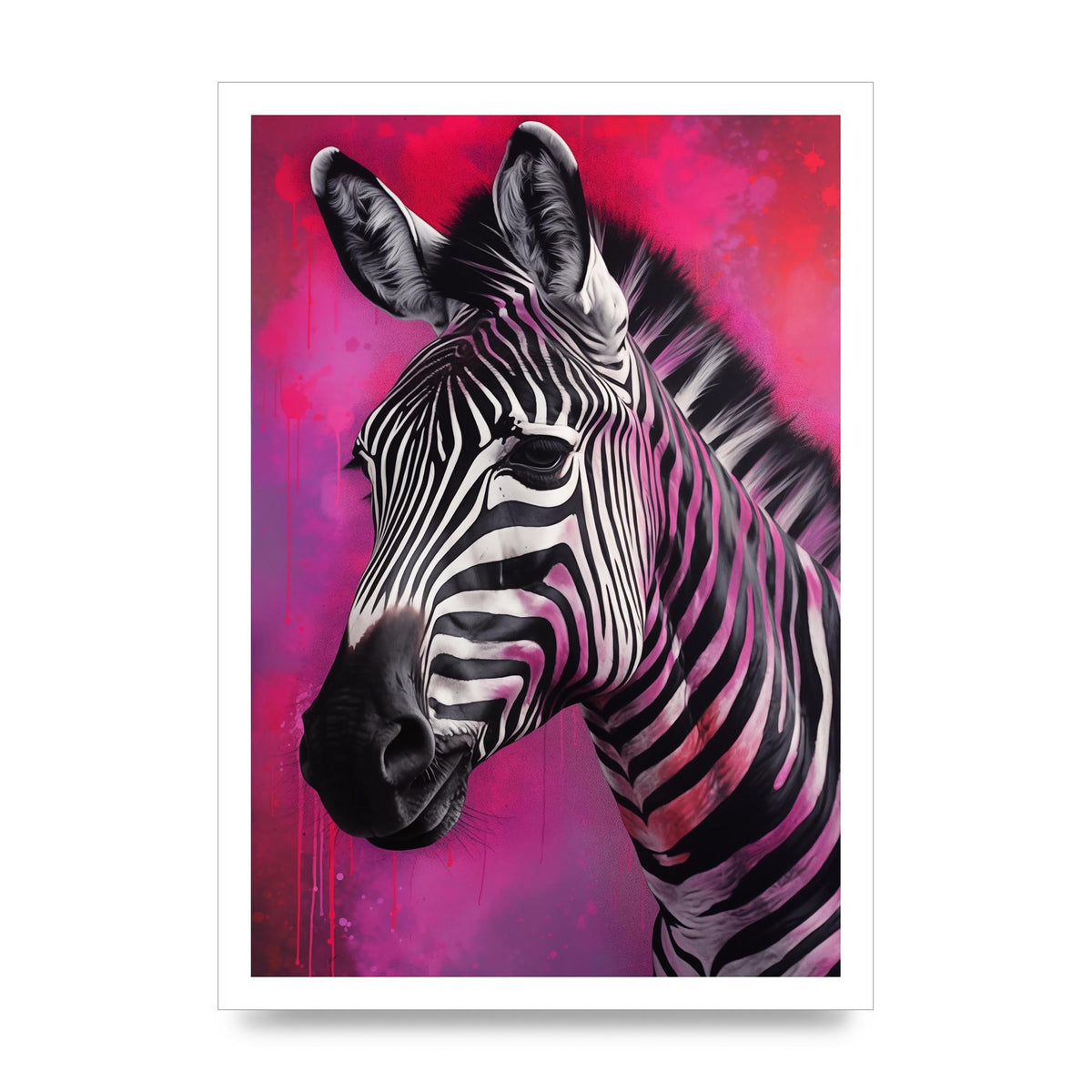Zebras with Bold Pinks and Purples Contrast