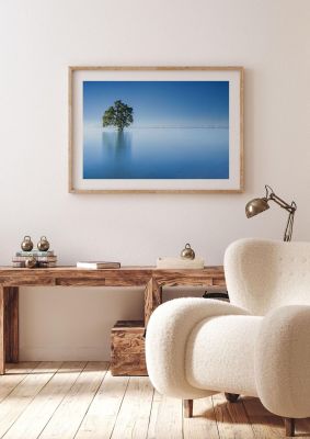 An unframed print of tree in the lahad datu beach sabah borneo malaysia nature photograph in blue and green accent colour