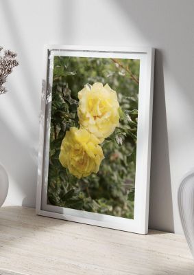 An unframed print of yellow flowers nature photograph in yellow and green accent colour