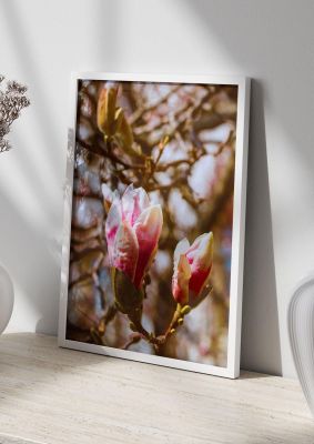 An unframed print of floral bud nature photograph in beige and pink accent colour