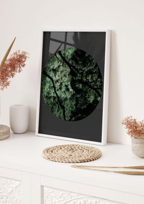 An unframed print of black back green plant disc series two nature photograph in green and black accent colour