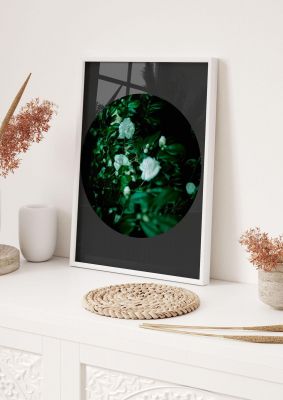 An unframed print of black back green plant disc series three nature photograph in green and black accent colour